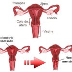 30 PERGUNTAS SOBRE MENSTRUAÇÃO