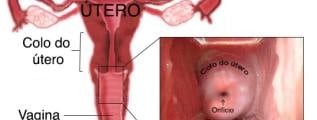 Ginecologia e Obstetrícia