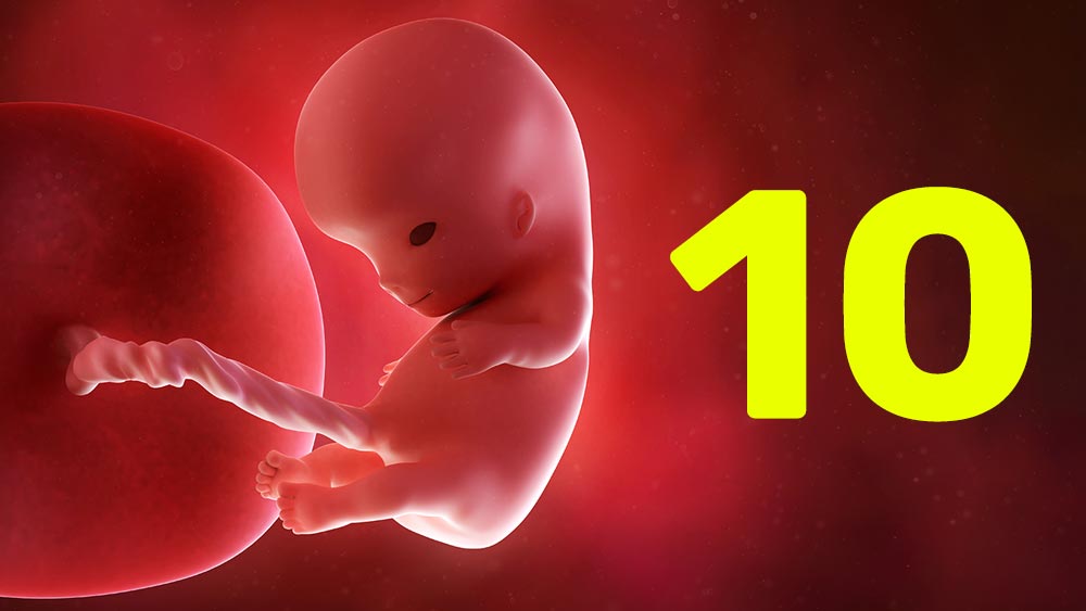 10 semanas de gravidez