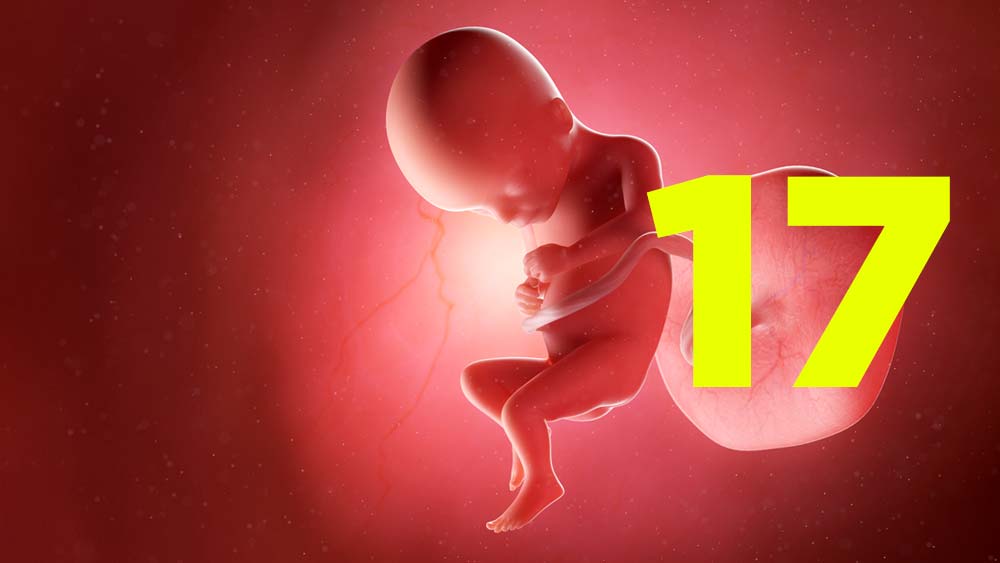 17 semanas de gravidez