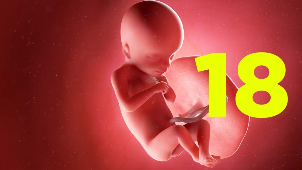 18 semanas de gravidez