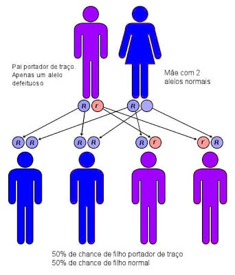 Anemia Falciforme -  Legenda: r = gene defeituoso; R = gene normal.
Pessoa Roxa = traço falciforme; Pessoa Azul = normal. 