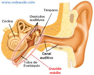 Blog Gastronomix: AO PÉ DO OUVIDO // O (não) sentido da coisa