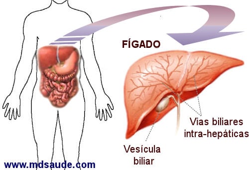 Sintomas do fígado