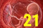 21 semanas de gravidez