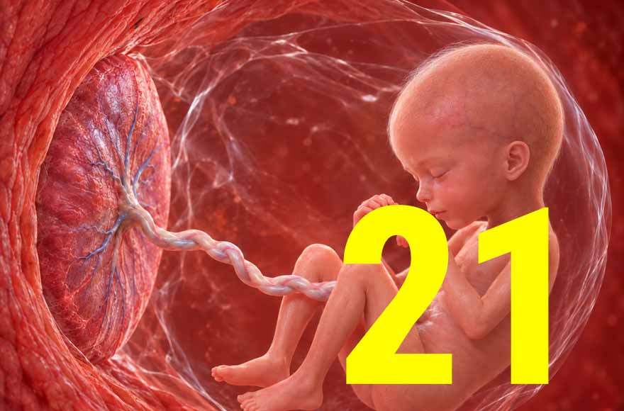 21 semanas de gravidez