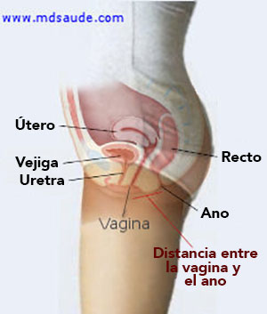 A que se debe tanta infeccion urinaria