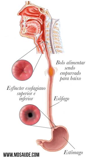 Meu esôfago arde fica latejando, me deixa nervoso e ser ar