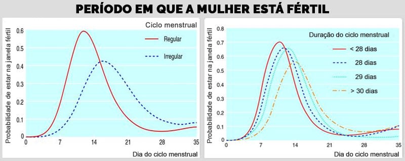 Menstruação e fertilidade: qual a relação?