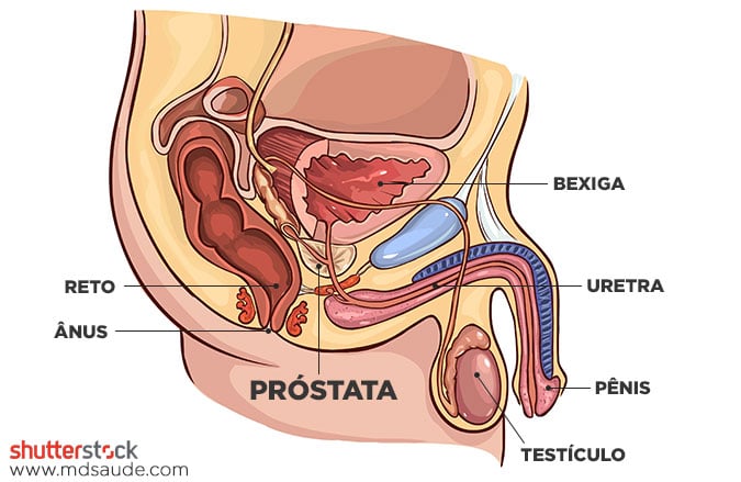 Prostatites Vesiculites A betegség kora prosztatitis