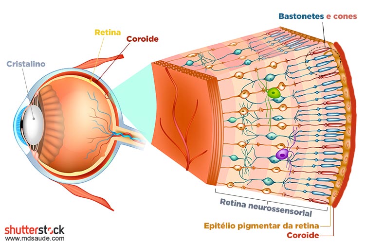 Descolamento de Retina: 7 Mitos Que Você Precisa Conhecer Agora