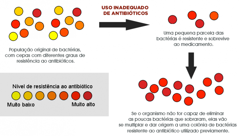 Antibióticos | O que são, tipos e para que servem