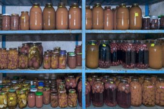 BOTULISMO – Causas, Síntomas y Tratamiento