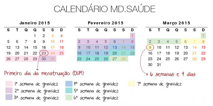 Calendário e Calculadora de Idade Gestacional