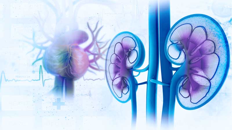 Síndrome cardiorrenal