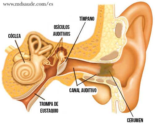 8 Causas de dores no ouvida uqe não tem origem no ouvido.