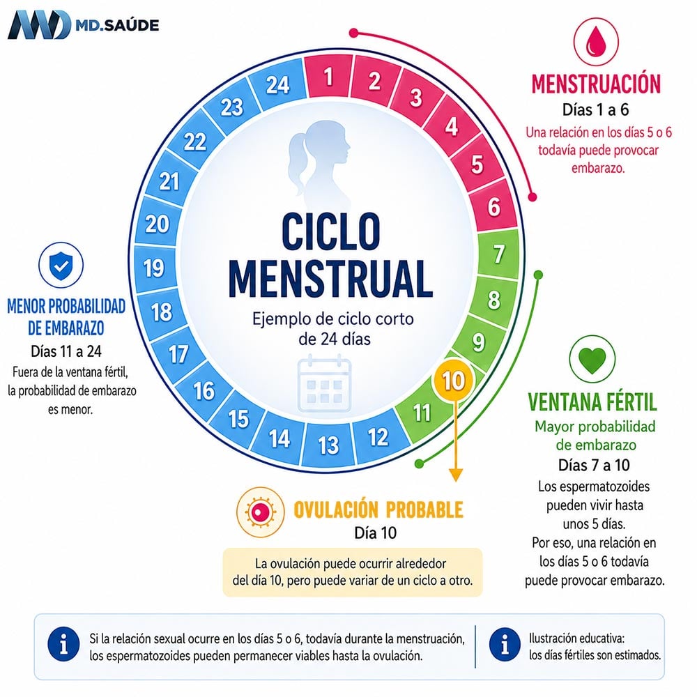 Ciclo menstrual corto