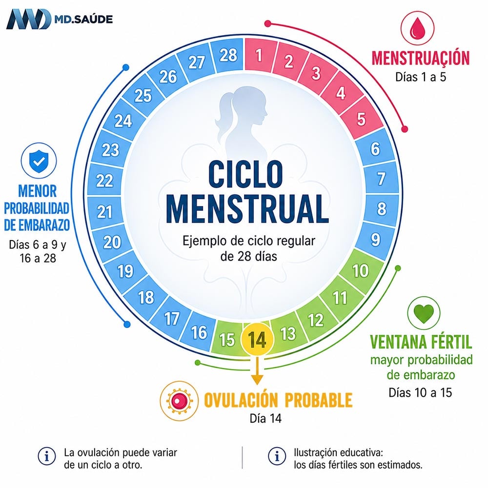 Ciclo menstrual regular de 28 días con 5 días de menstruación