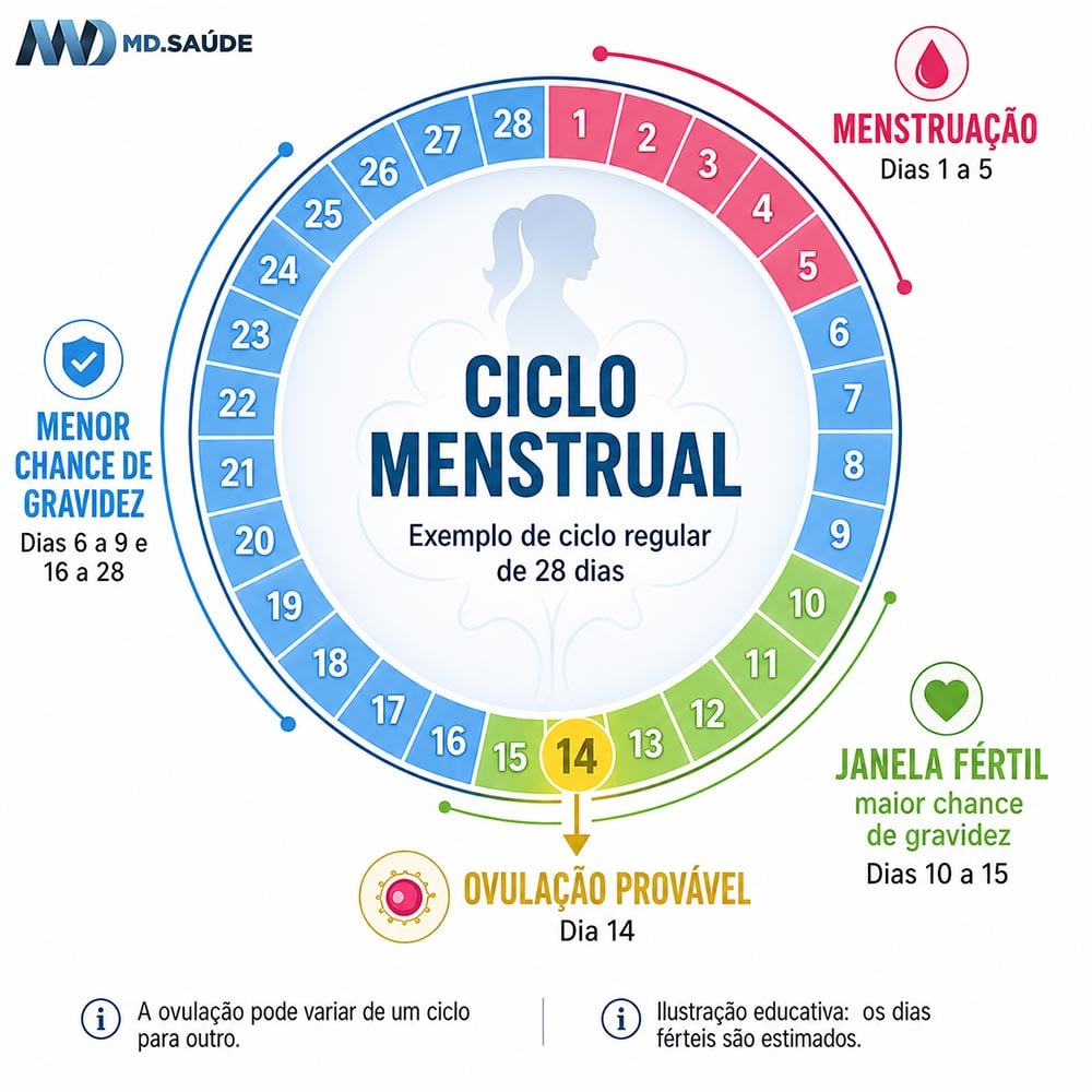 Ciclo menstrual regular de 28 dias com 5 dias de menstruação