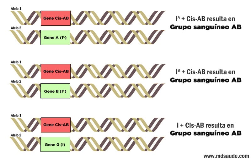 Gene Cis-AB
