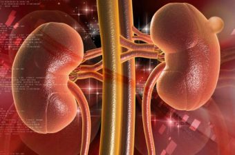 QUISTE RENAL SIMPLE – Síntomas, causas y tratamento