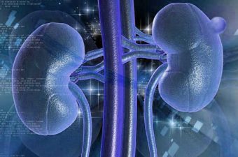 CISTO RENAL SIMPLES – O que é, sintomas e tratamento