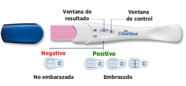 Prueba de embarazo Clearblue Plus - Resultados