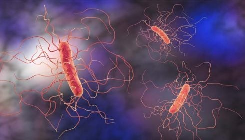 Clostridium difficile