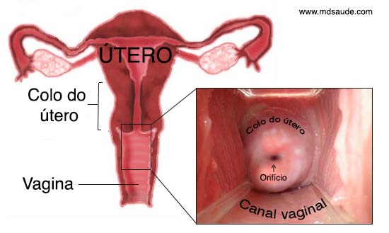 papanicolau normal y anormal