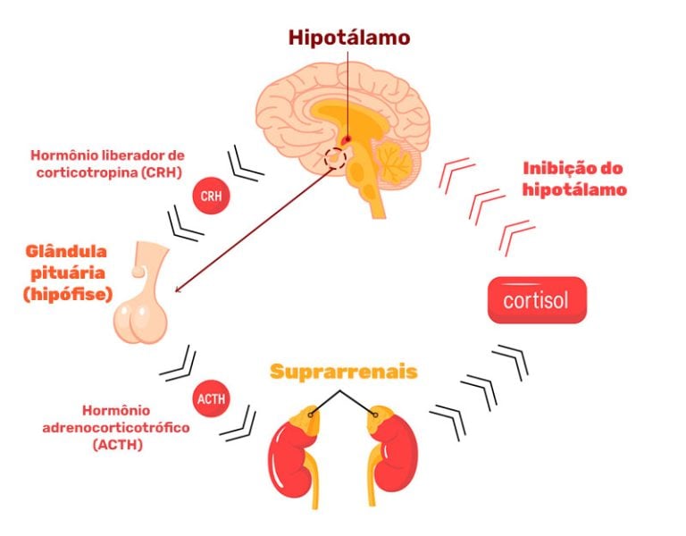 Cortisol (alto e baixo): o que é, causas e sintomas
