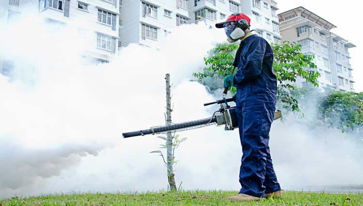 Dengue