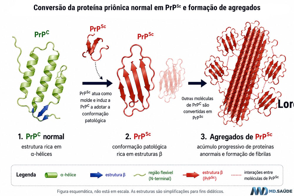 Formação de príons anormais