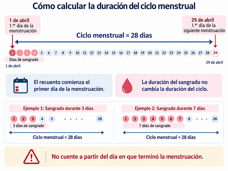 Cómo calcular la duración del ciclo menstrual
