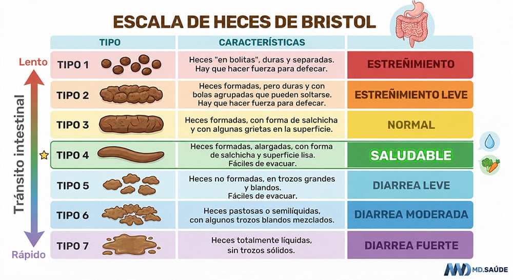 Escala de heces de Bristol