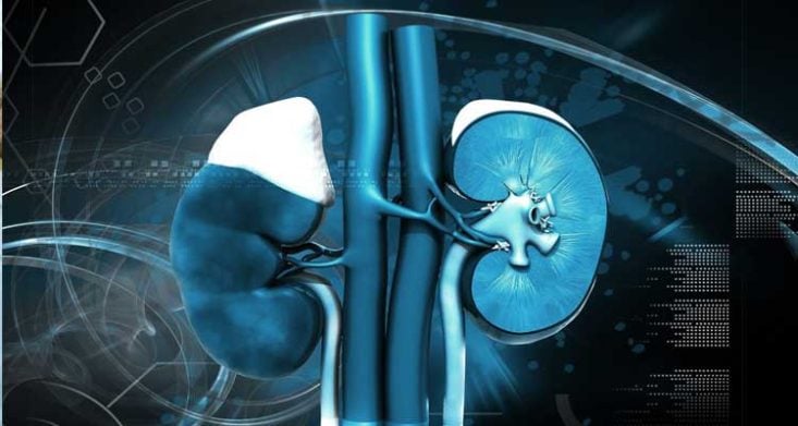 Prevenção da doença renal