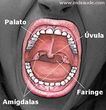 Dor de garganta