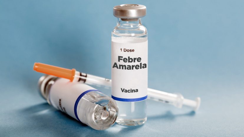 FEBRE AMARELA | O que é, vacina, transmissão e sintomas