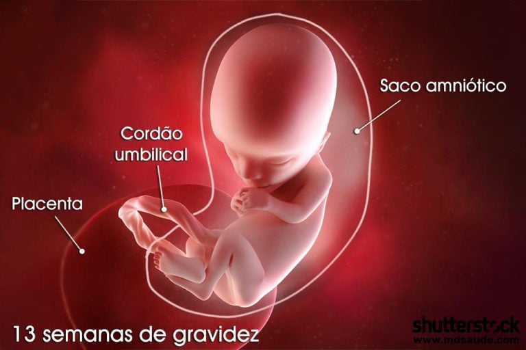 13 semanas de gravidez | Gestação semana a semana