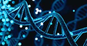 Genética