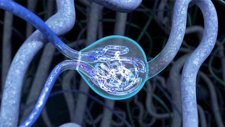 Glomerulonefritis: qué es, síntomas y tratamiento