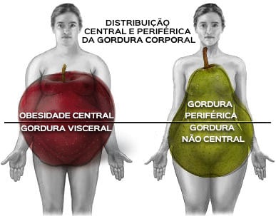 Distribuição central e periférica de gordura corporal