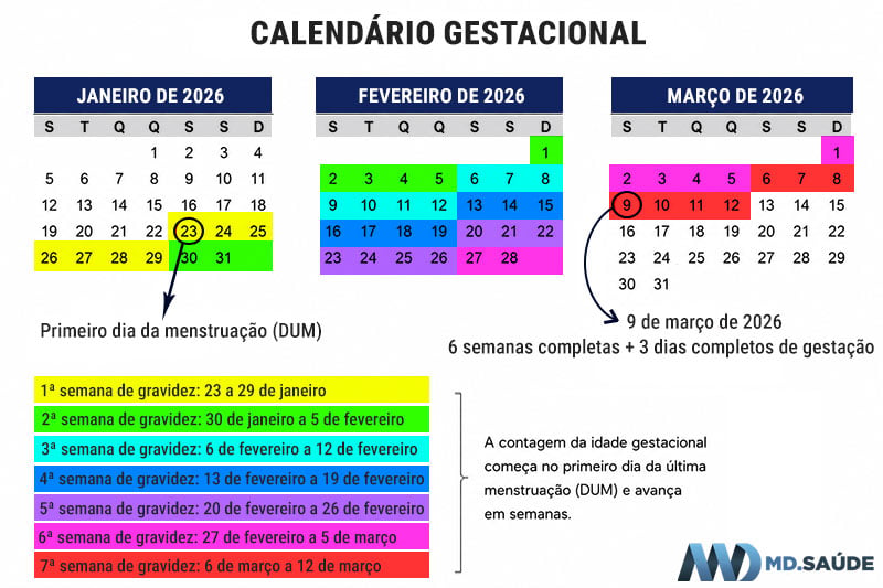 Dias e semanas de gravidez