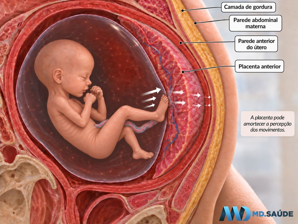 Movimentos fetais amortecidos por uma placenta na parede anterior