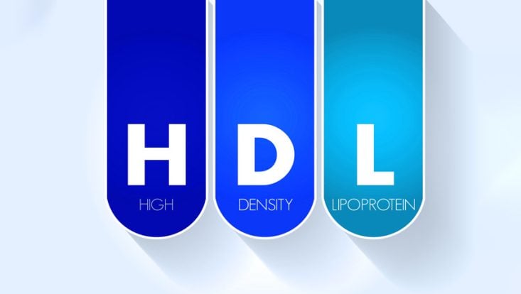 Colesterol HDL: qué es, valores bajo, normal y alto