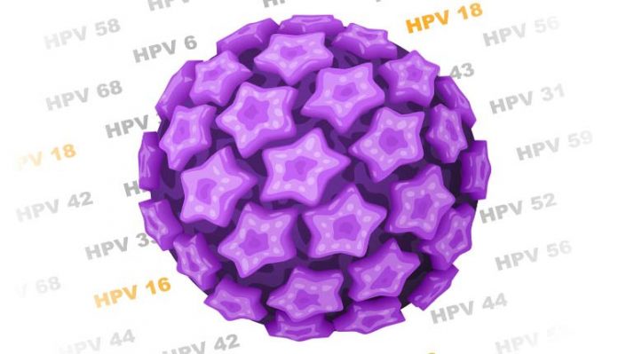 hpv-utero HPV