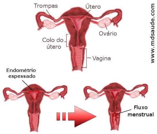 Coágulos de sangue durante a menstruação: o que são?