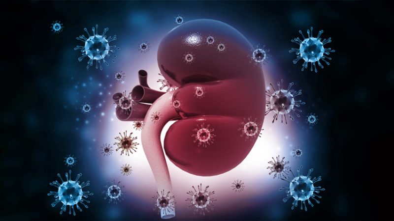 Sintomas da infecção urinária