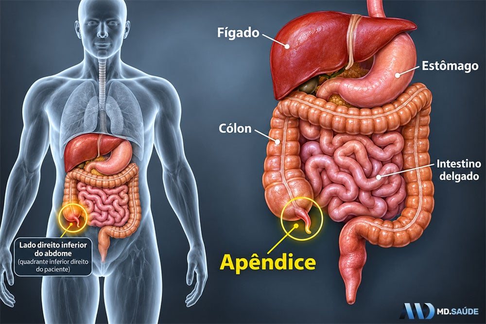 Localização do apêndice