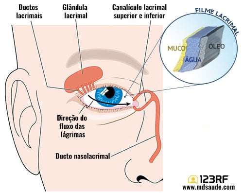 Sistema lacrimal: como são produzidas as lágrimas
