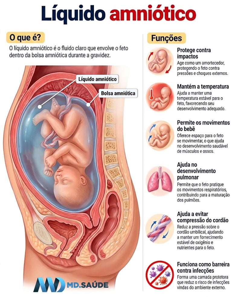 Líquido amniótico: ilustração do feto dentro da bolsa amniótica e das principais funções desse líquido durante a gravidez.